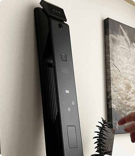 Smart Lock iShkel - Decorated Door